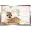 «Kind And Gentle» par By Jodi - impression-855900287-855900280