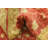 Runner Delao Red Rug