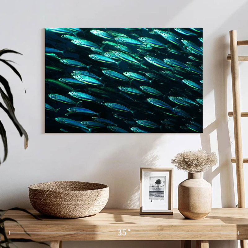 Banc de poissons, H 16 po x l 24 po