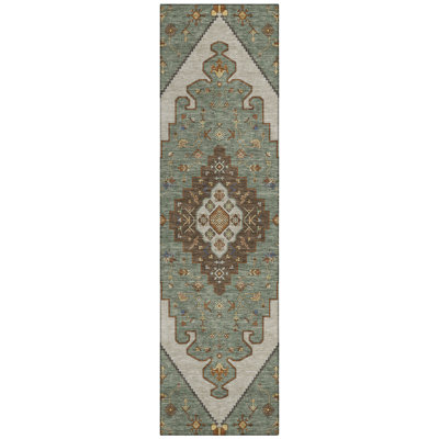 Machine Washable Indoor/Outdoor Chantille ACN2472 Global Rug