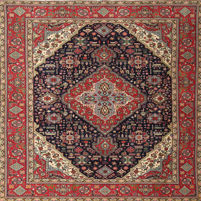 Southwestern Indoor Rug