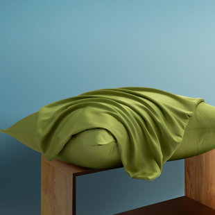 Silk Luxe Pillowcases (set of two)