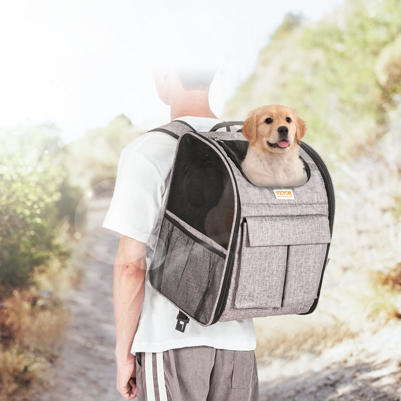 Sac à dos roulant avec roulettes amovibles