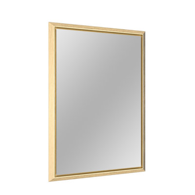 Sweeny Rectangle Shatterproof Metal Wall Mirror