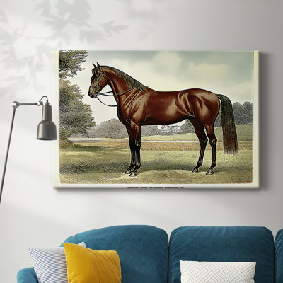 Animaux, paysage, série CCVI