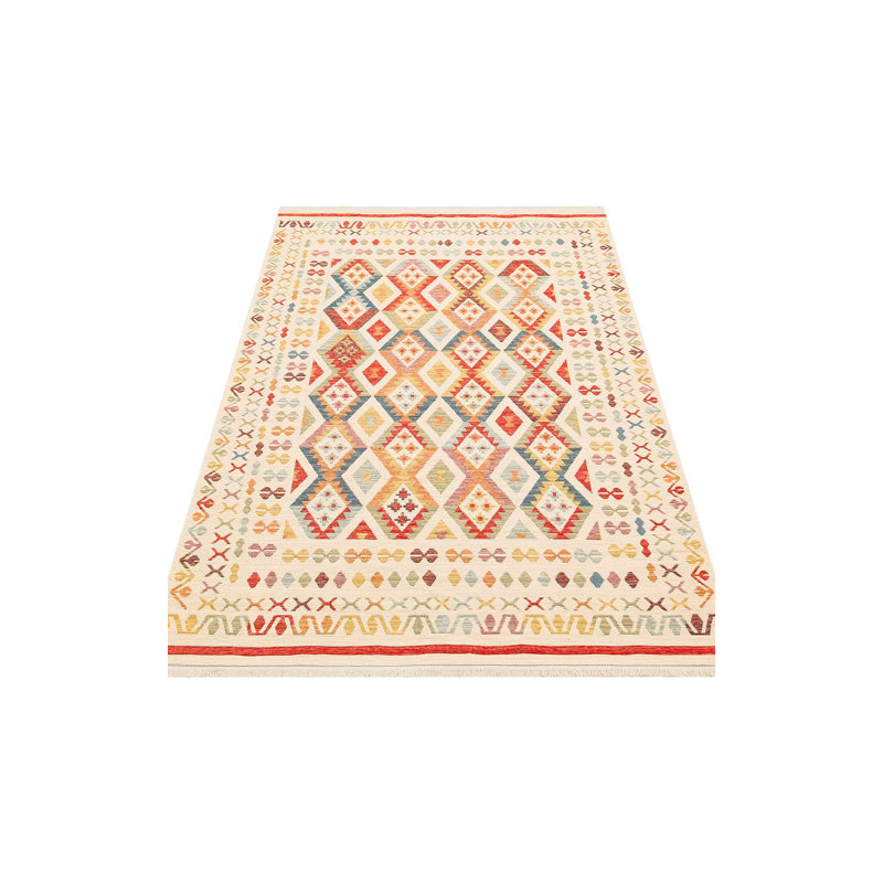 Luxueux tapis 100% coton 31,5 po x 59,1 po | Sans velours, tissage à plat, 1,8 lb / pi² | Lavable à la machine à 86 ° F, facile d'entretien | Parfait pour le salon, la chambre à coucher et la salle à manger | Conception élégante et durable