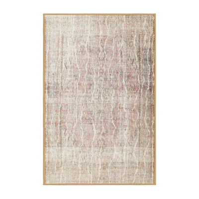 Ciampa Oriental Indoor Rug