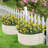 Pannu Metal D-Shaped Raised Garden Bed
