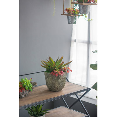 Pot à fleurs en ciment Berube