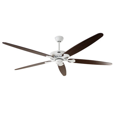 Boutwell 180cm Ceiling Fan