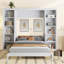 Lit escamotable double avec bureau et bibliothèque, blanc-1817246979