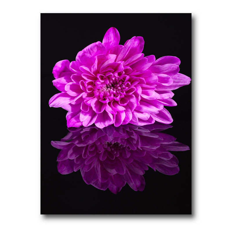 Fleur de chrysanthème simple sur reflet noir - photographie sur toile, H 32 po x l 16 po x P 1 po, Toile tendue