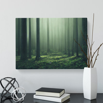 Creative Forest - Wrapped Canvas