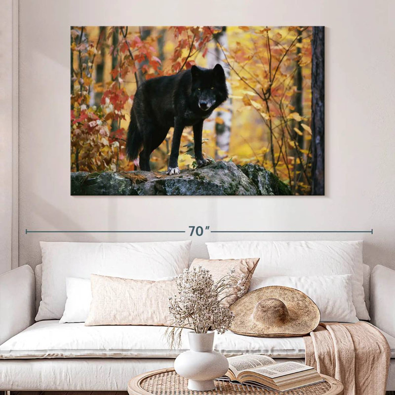 Loup noir d'automne, H 34 po x l 51 po