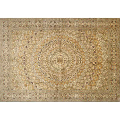 Coleena Oriental Indoor Rug