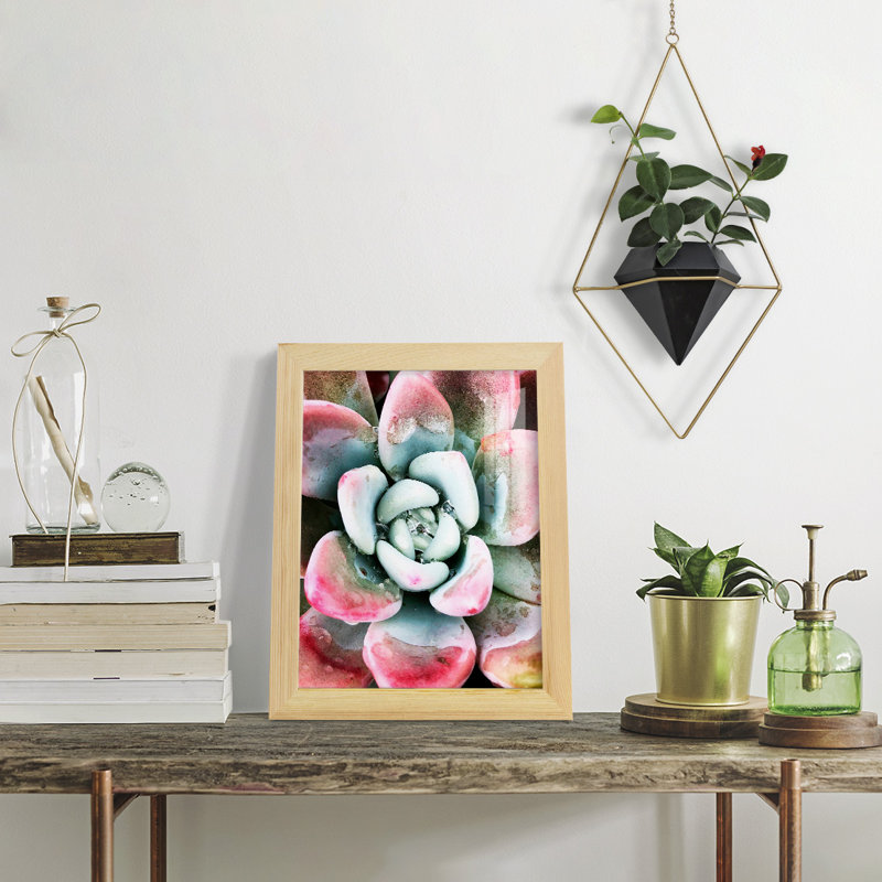 Pastel Succulent Beauty V, reproduction d'art sur papier, H 11 po x l 9 po x P 1 po, Naturel