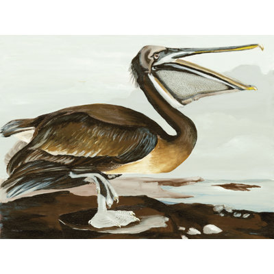 Pelican by the Bay