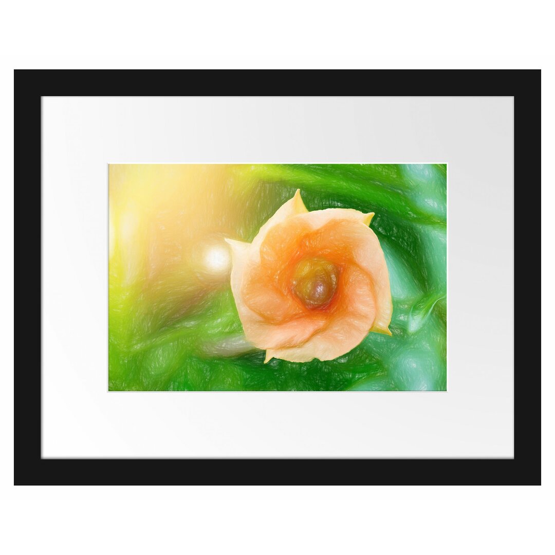 Gerahmtes Poster Orange Blume im Sonnenlicht