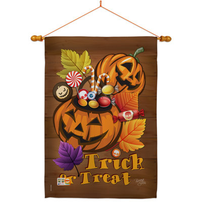 Ensemble de drapeaux en polyester 40 po x 28 po Candy