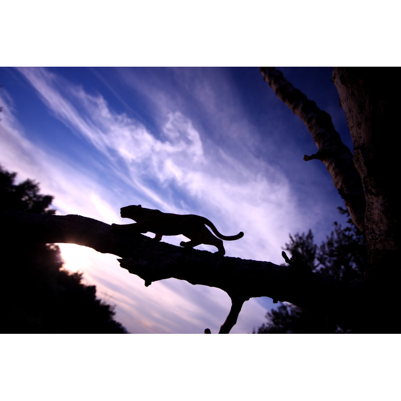 Leopard Silhouette - Wrapped Canvas Print, 81cm H x 122cm W x 3.8cm D