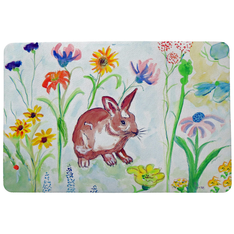 Tapis de porte intérieur antidérapant Whiskers, Rectangle 1 pi 6 po x 2 pi 2 po