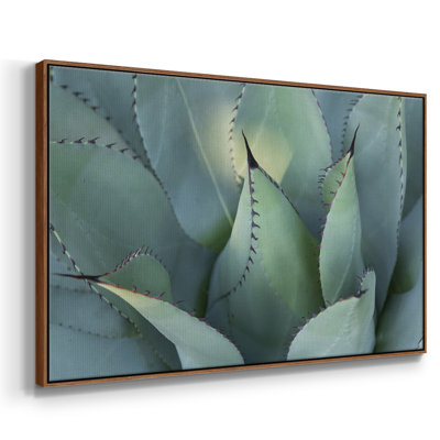 " Blue Agave I "