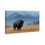 Mountain Bison I Print by Oliver Gal-101198000-101198001