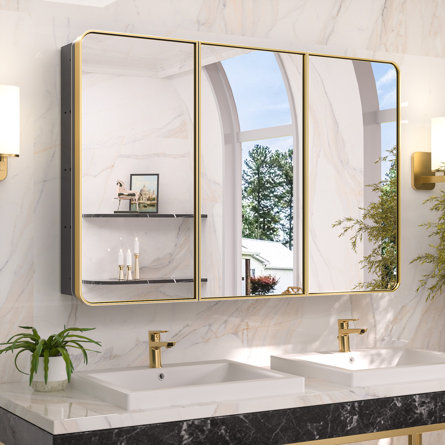 Gervon Rectangle Recessed Medicine Cabinet with Shelves