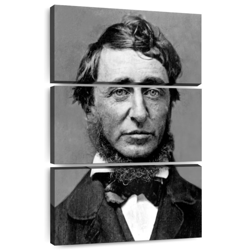 Leisha Henry David Thoreau, H 38 po x l 24 po