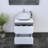 Kaydin 23.6'' Single Bathroom Vanity with Top-970100710-970100705
