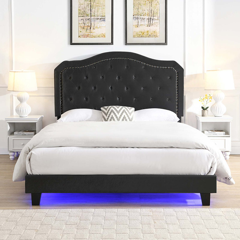 Lit rembourré avec capitonnage à boutons et conception incurvée, support de lattes en bois robuste, assemblage facile, matériau en velours et lumières DEL pour un sommeil confortable