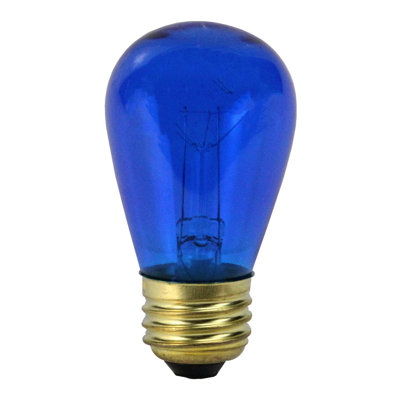 Paquet de 25 ampoules incandescentes de remplacement de Noël bleu