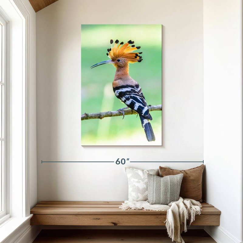 Brampt Common Hoopoe, 45" H x 30" W