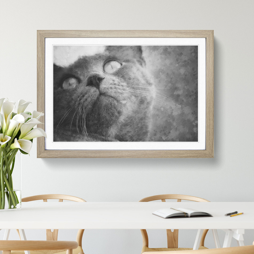 British Shorthair Cat Vol.3 - Picture Frame Painting