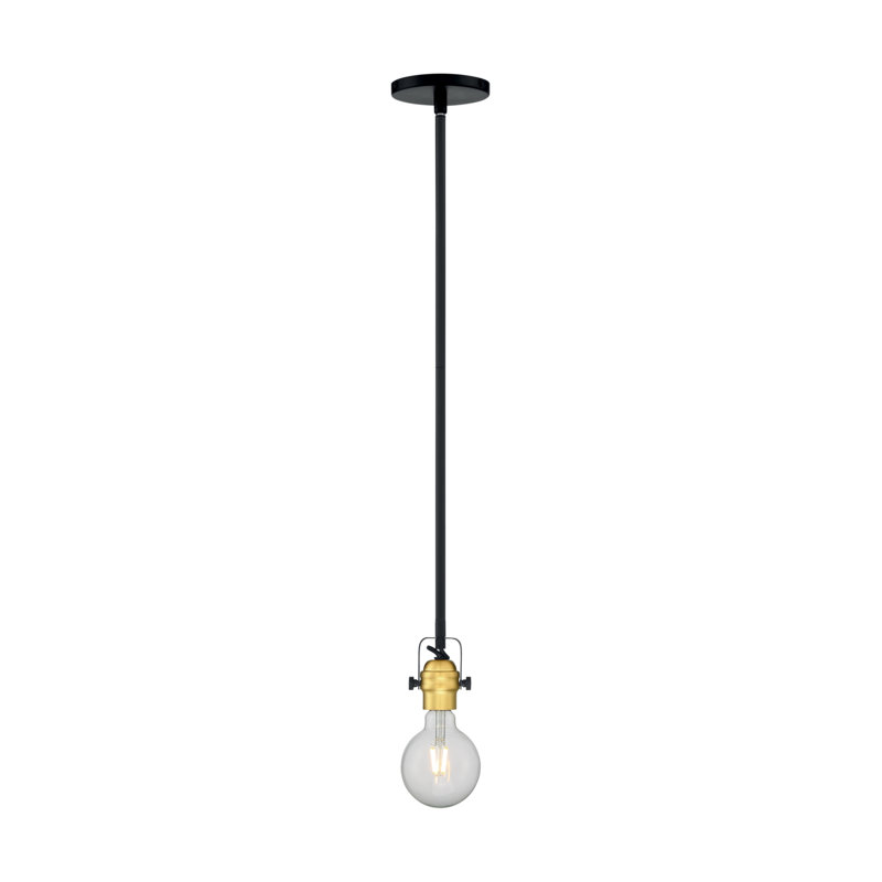 Luminaire suspendu à 1 lumière Nesmith