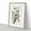 Downy Woodpeckers by John Audubon - Picture Frame Painting Print-55545559-55545557