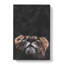Lion Looking Upwards - Wrapped Canvas-56666005