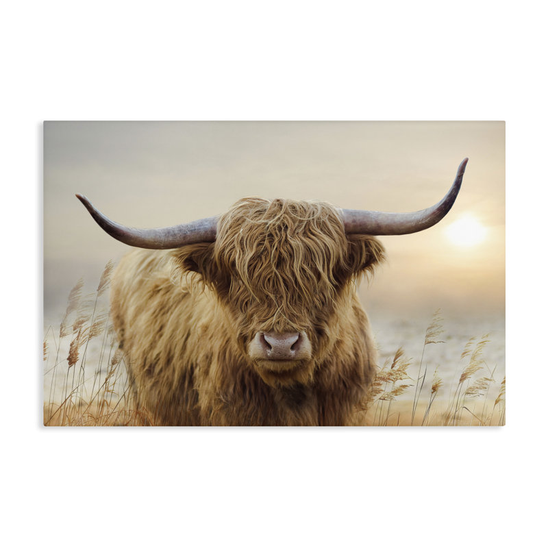Toile Highland Cow & Warm Sunset, conception de CAD Designs, H 20 po x l 30 po