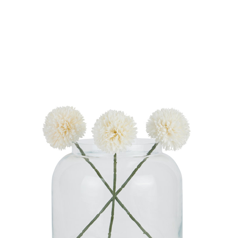 Anastasija Arrangement