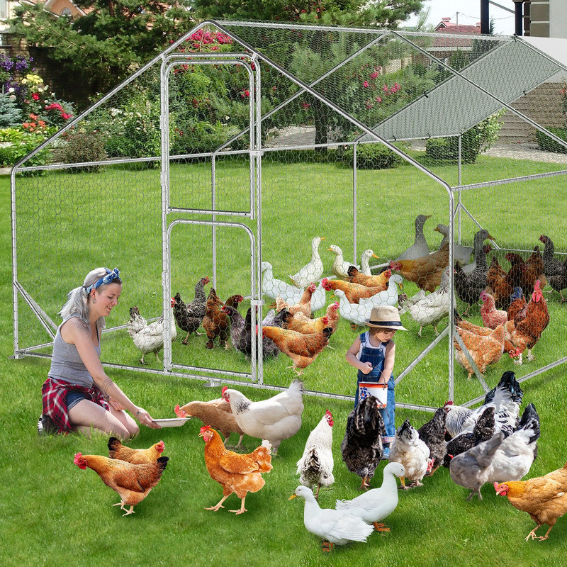 Chicken Run