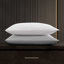 Vera Wang T1000 Sateen Solid CVC Sheet Set-664932020-664932021