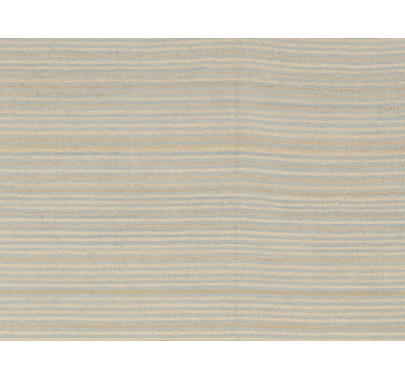 Striped Area Rug in Gray