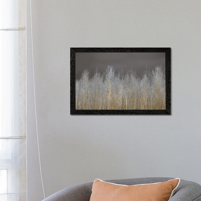 Silver Forest by Assaf Frank - Print on Canvas, 66.04 cm H x 45.72 cm W, Black Floater Framed