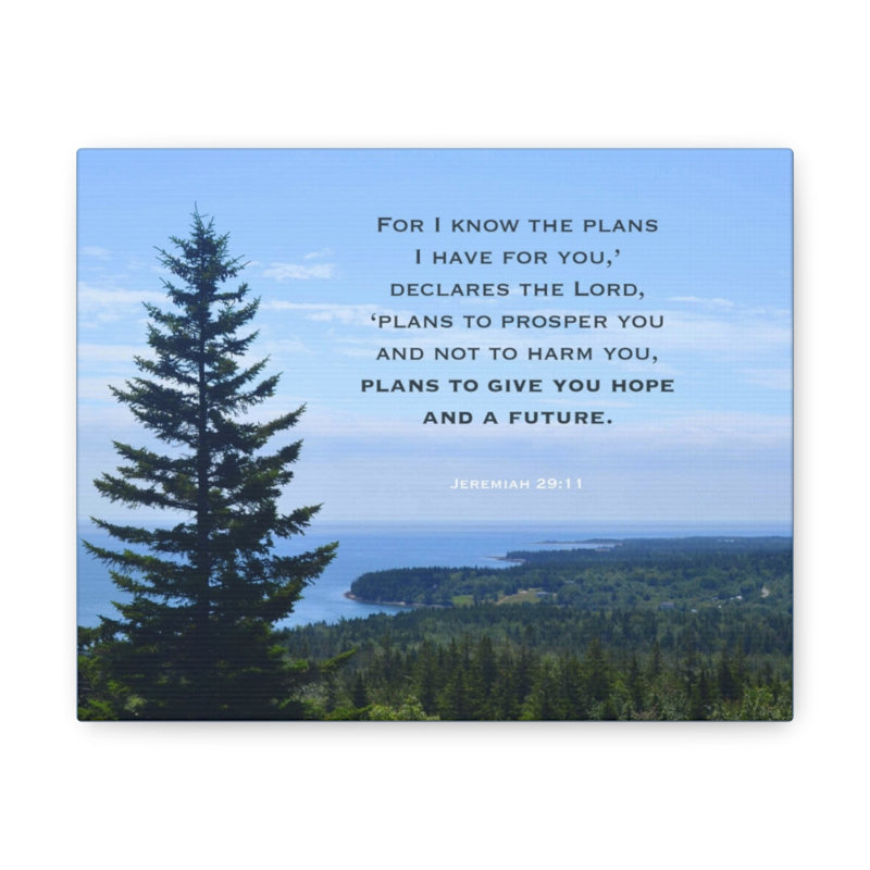 Declares The Lord Jeremiah 29:11 - Wrapped Canvas Print, 30cm H x 41cm W