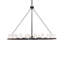 24 - Light Chandelier