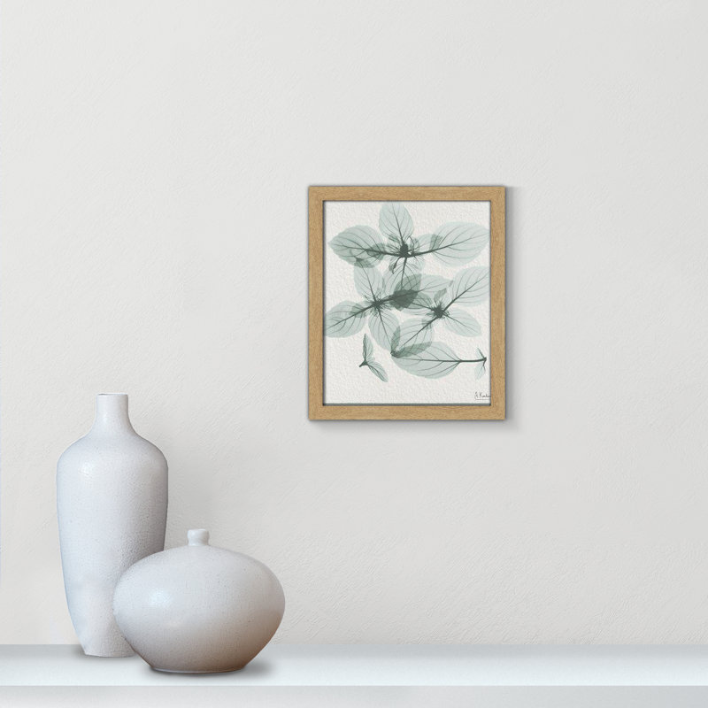 «Jeanette Basil Ocimal Basicicum», reproduction encadrée sur papier par Albert Koetsier, H 15 po x l 13 po x P 1,25 po