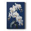 FLORAL Series CLxxxi - galerie sur mesure