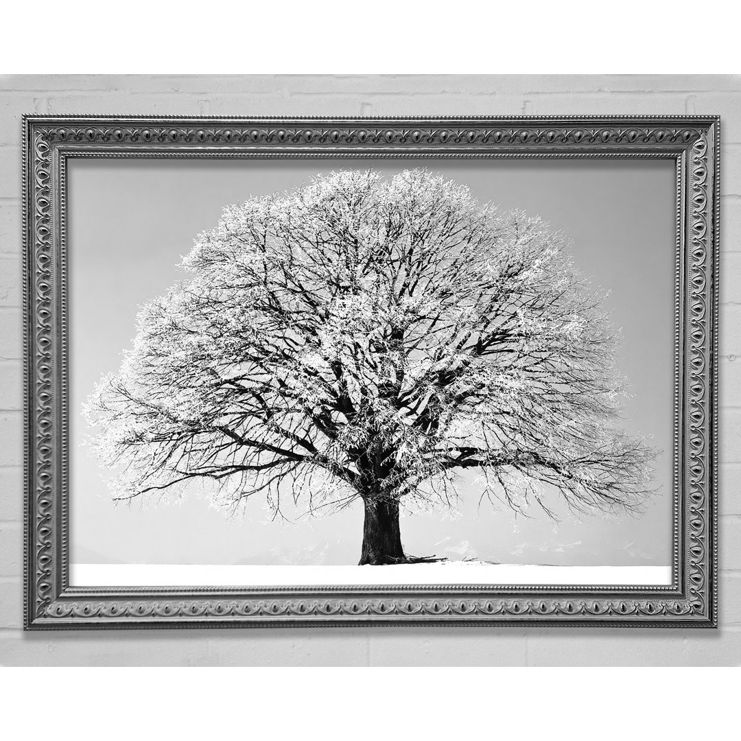 Winter Snow Tree B N W - Druck