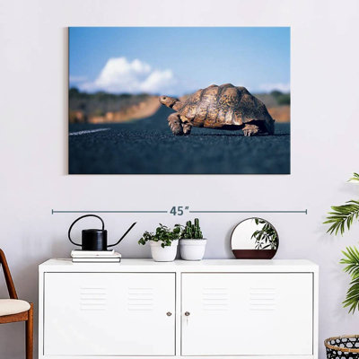 Brampt Crossing Turtle