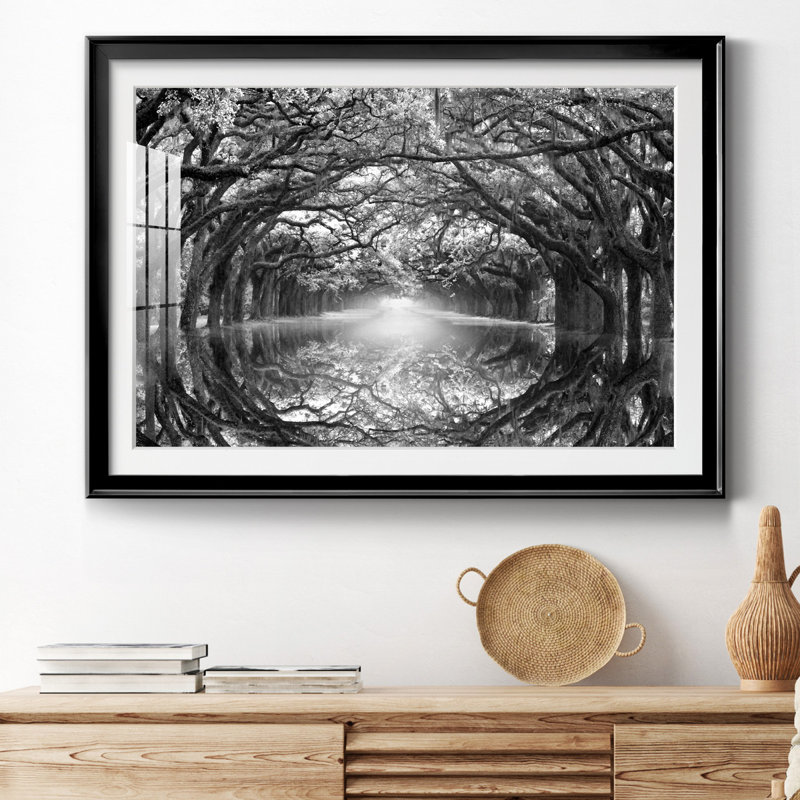 Oak Alley Reflection - photographie de cadre, H 30,5 po x l 42,5 po x P 1,5 po, Papier avec cadre noir